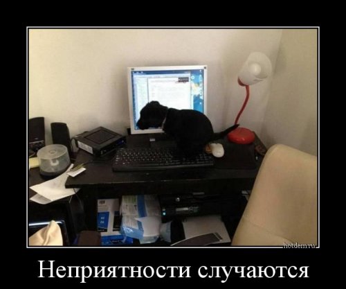 Свежая порция демотиваторов (13 шт)