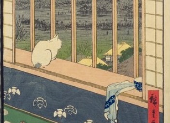 В Сети появилась новая загадка с неожиданным ответом 