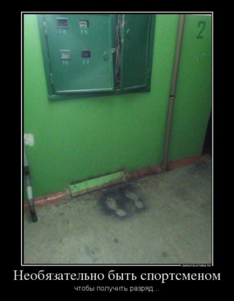 Свежие демотиваторы (25 шт)