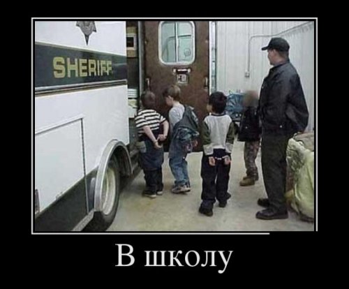 Демотиваторы-приколы (12 шт)