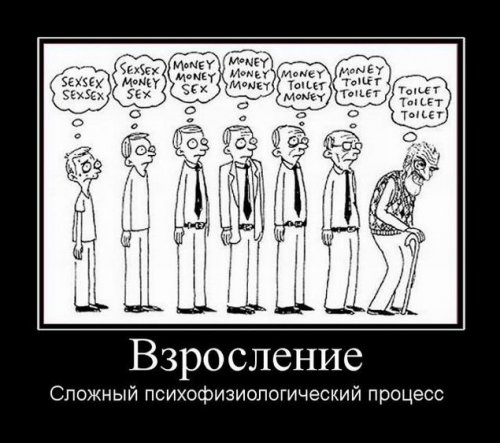 Порция демотиваторов с приколами (12 шт)