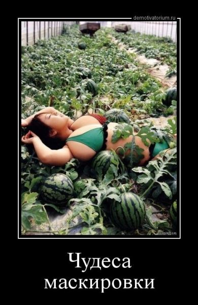 Прикольные картинки 18+ (33 шт)