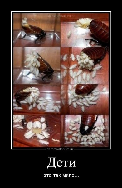 Прикольный сборник демотиваторов (17 шт)