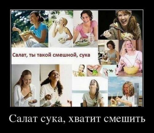 Свежая порция демотиваторов (13 шт)