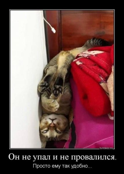 Немного прикольных демотиваторов для настроения (12 шт)