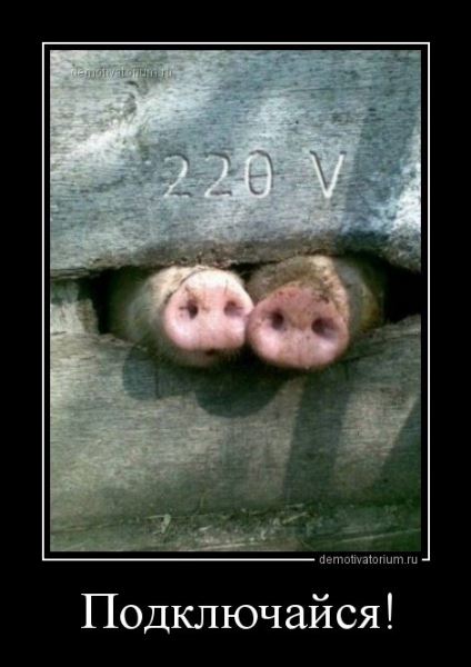 Демотиваторы для всех (17 шт)