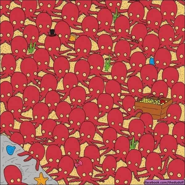 Найди рыбку!