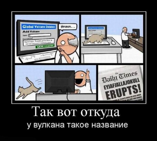 Демотиваторы дня (13 шт)