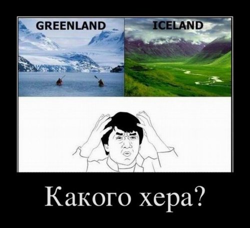 Свежая порция демотиваторов (13 шт)