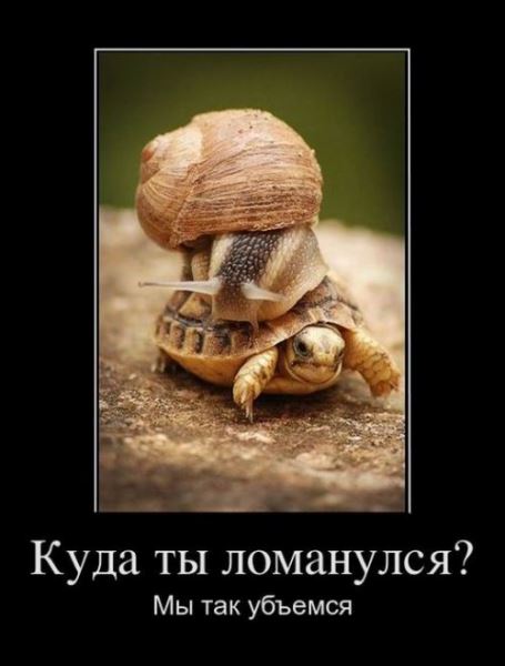 Свежая порция демотиваторов (13 шт)