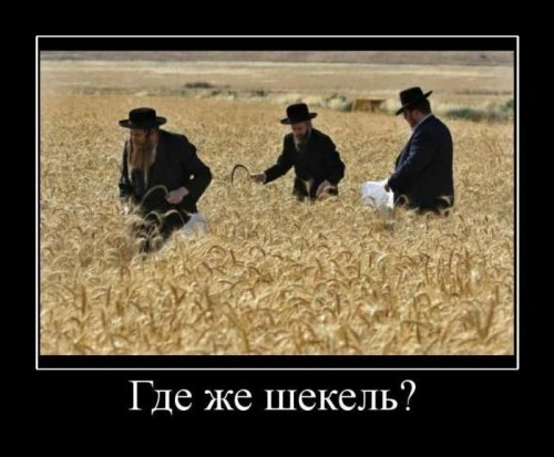 Пост с демотиваторами (15 шт)