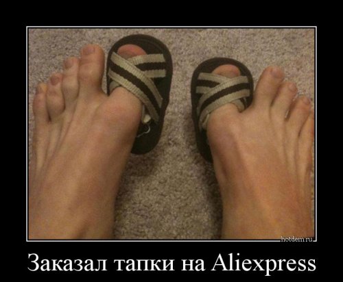 Порция демотиваторов с приколами (12 шт)