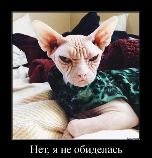 Новые демотиваторы-приколы (14 шт)