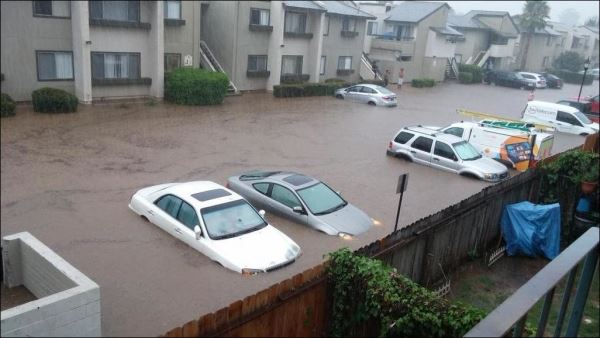 Забор, который обсуждает весь интернет