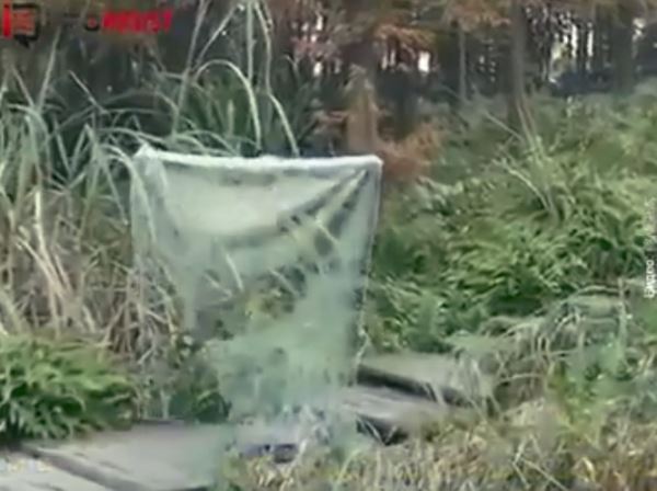 Человек-невидимка или маскировка 80 lvl