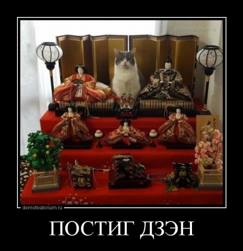 Демотиваторы-приколы (15 шт)