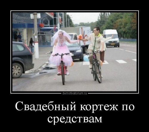 Демотиваторы для всех (17 шт)