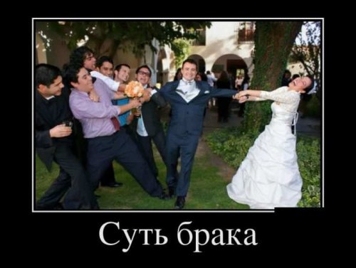 Новые демотиваторы-приколы (14 шт)