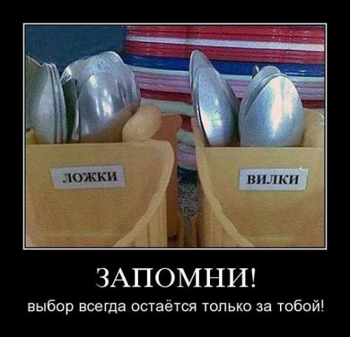 Демотиваторы дня (13 шт)