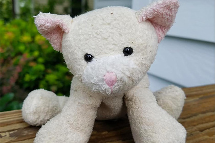 Рассказ от лица плюшевого кота умилил пользователей сети 