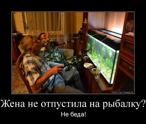 Новые демотиваторы-приколы (14 шт)