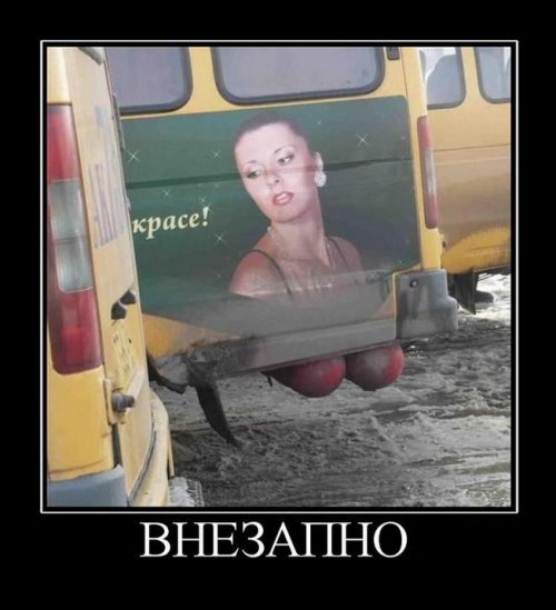 Немного прикольных демотиваторов для настроения (12 шт)