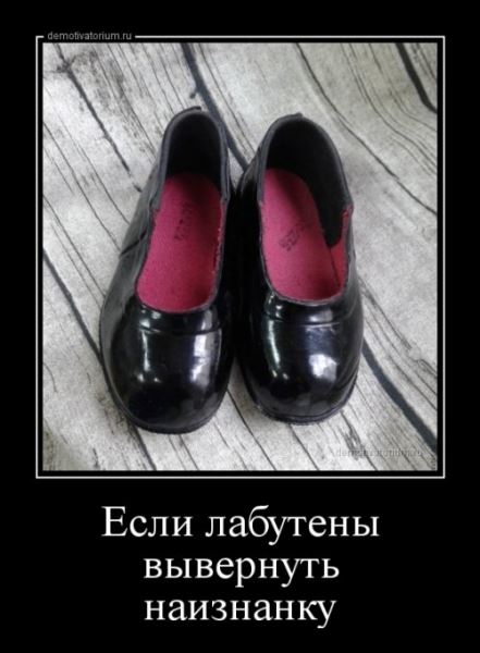 Демотиваторы дня (13 шт)