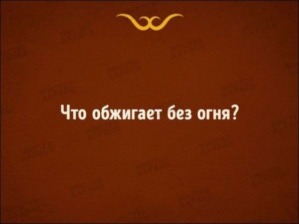 10 загадок для разминки мозга
