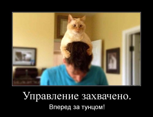 Демотиваторы дня (13 шт)