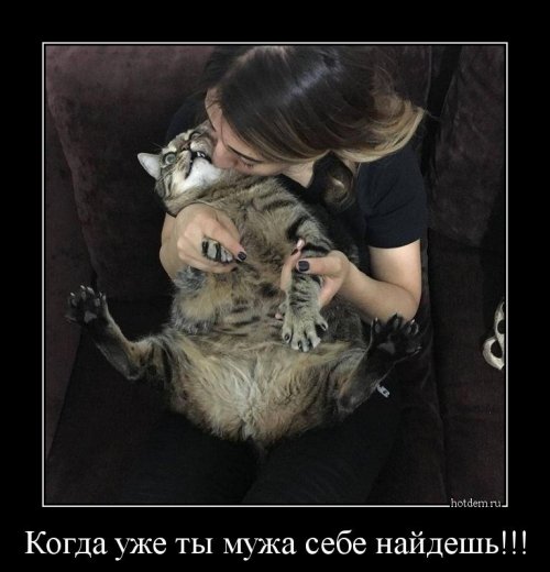 Порция демотиваторов с приколами (12 шт)