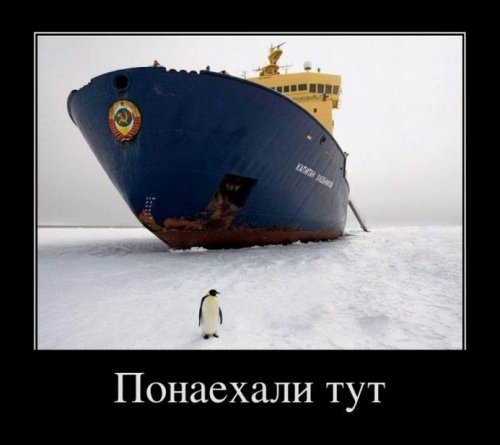 Свежая порция демотиваторов (13 шт)