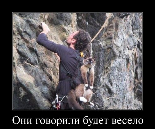 Новые демотиваторы-приколы (14 шт)