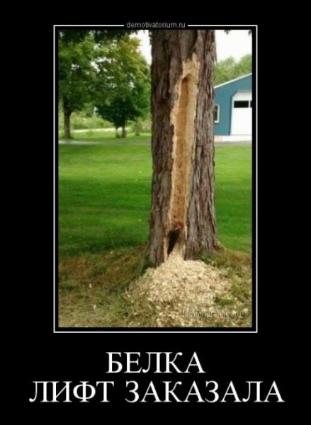 Демотиваторы-приколы (15 шт)