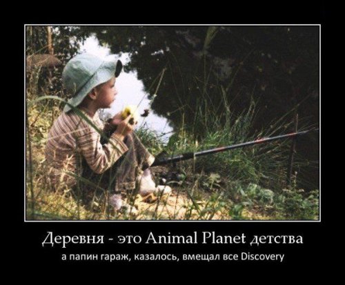 Пост с демотиваторами (15 шт)