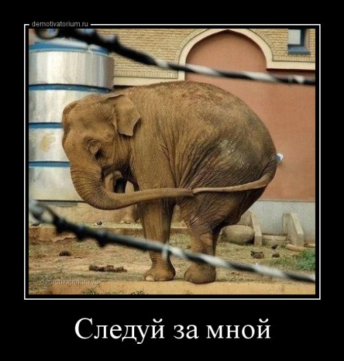 Прикольный сборник демотиваторов (17 шт)