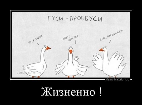 Свежие демотиваторы (25 шт)