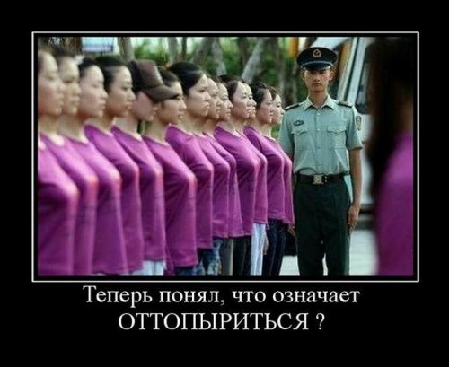 Новая порция демотиваторов (18 шт)