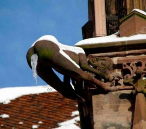 Прикольные картинки с пошлинкой (28 фото)