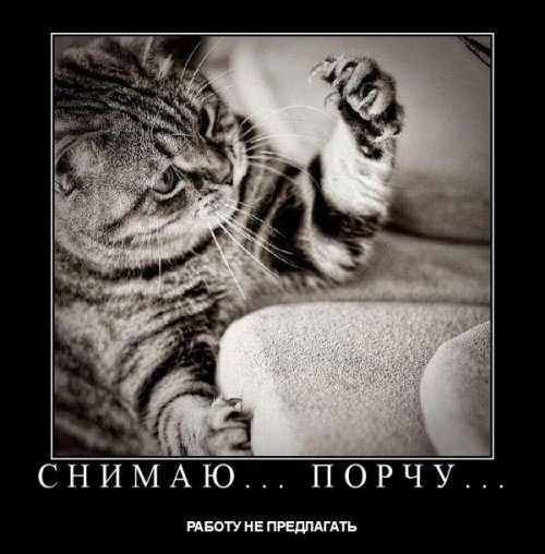 Прикольные демотиваторы в середине недели (13 шт)