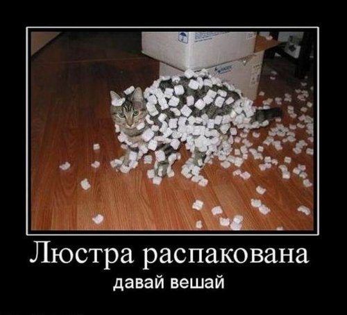 Новая порция демотиваторов (18 шт)