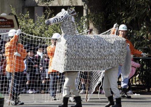 ТОП-25: Вещи, которые туристы могут делать только в Токио