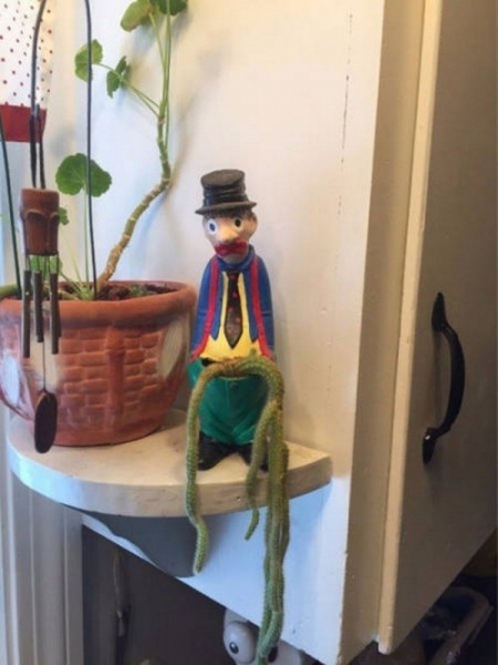 Прикольные картинки с пошлинкой (28 фото)