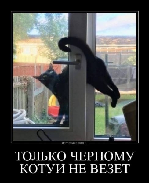 Прикольные демотиваторы для всех (16 шт)