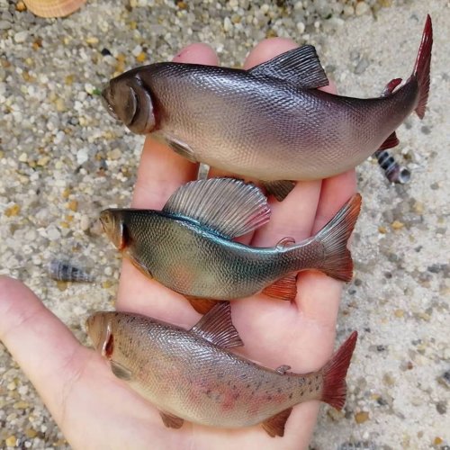 Декор для кружки в виде невероятно реалистичной рыбы (24 фото)