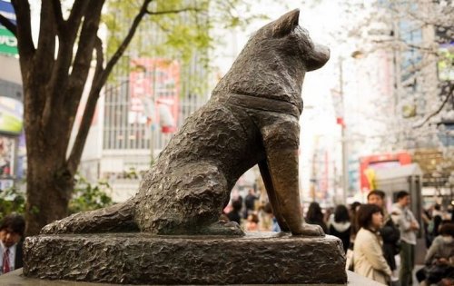 ТОП-25: Вещи, которые туристы могут делать только в Токио