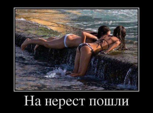 Прикольные картинки для взрослых (35 шт)