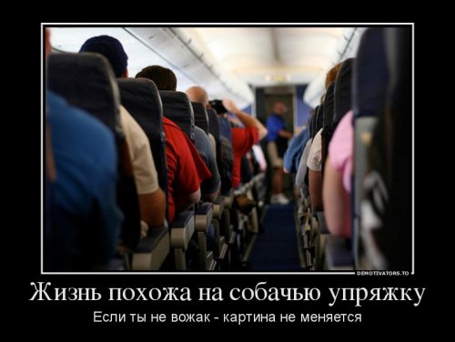 Прикольные демотиваторы для всех (16 шт)