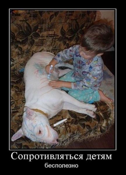 Новая порция демотиваторов (18 шт)