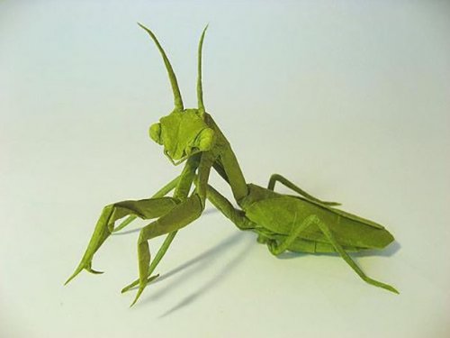 Шедевры бумажного искусства: оригами (25 фото)