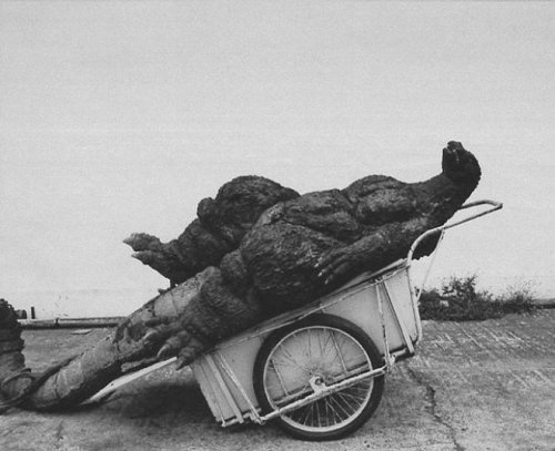 Закулисье фильма "Годзилла против Мотры" 1964 года (20 фото)